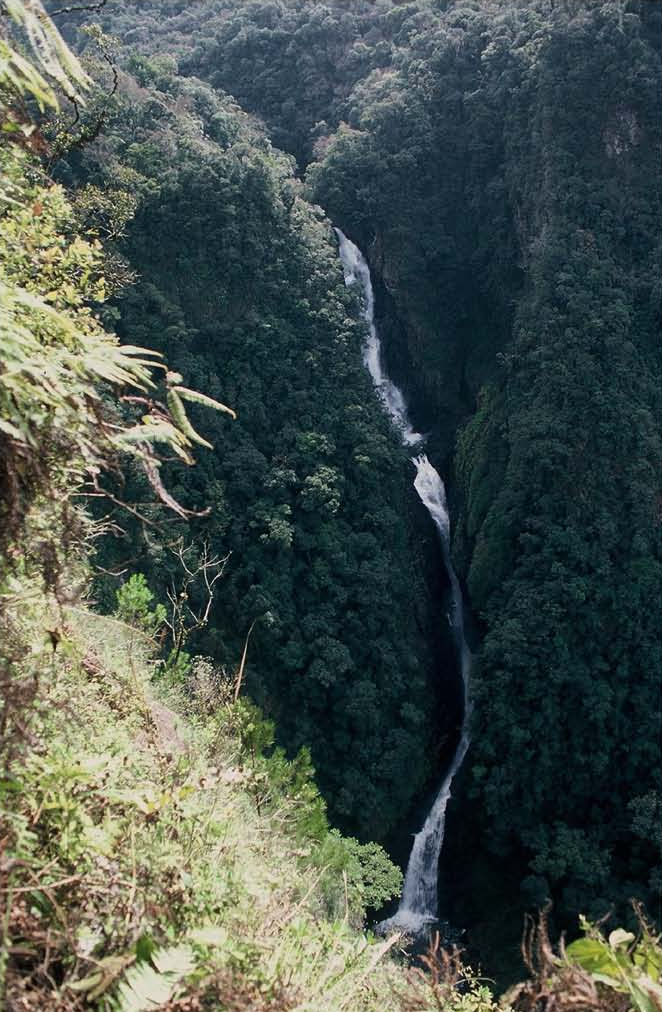 Salto do Rio Cubatão