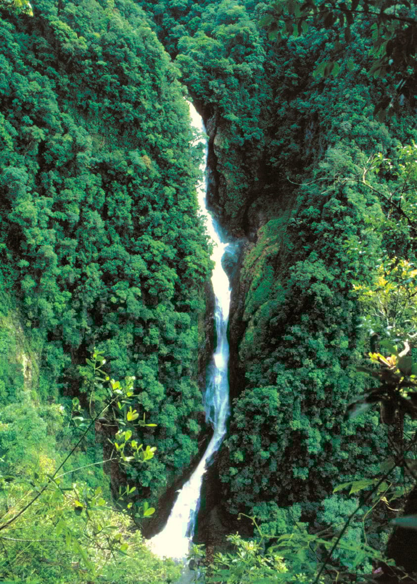 SALTO MAIOR CUBATÃO CÓPIA-2